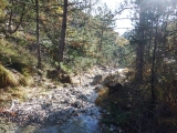 dscf3065_0