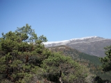 dscf3085
