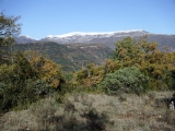 dscf3091