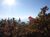 dscf3099