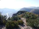 dscf3104