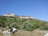 dscf3123