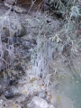 dscf3130