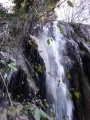 dscf3137