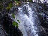dscf3139