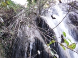 dscf3140