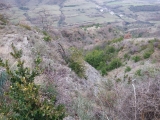 dscf4033