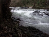 dscf4021