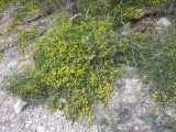 dscf8113