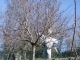 DSCF1168