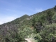 DSCF1639.JPG