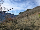 p1020325