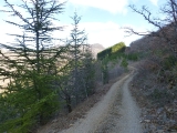 p1020342