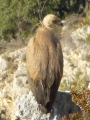 p1020385