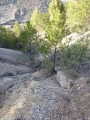 p1020391