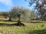 p1020393
