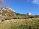 p1020394