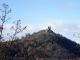 DSCF8156
