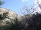 DSCF8158