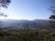 DSCF8166