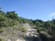 DSCF8169