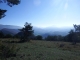 DSCF8175