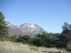 DSCF8177