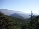 DSCF8182