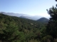 DSCF8183