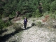 DSCF8184