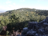 dscf2908