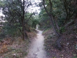 dscf2910
