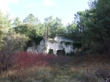 dscf2953
