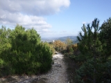 dscf2954