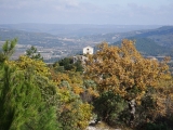 dscf2955
