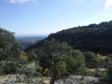 dscf2959