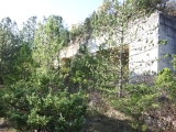dscf2979