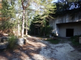 dscf2980