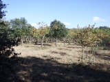 dscf2983