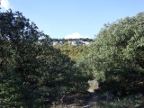 dscf3003