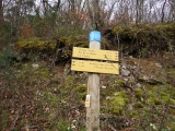 dscf6803