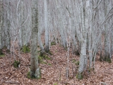 dscf6807