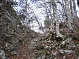 dscf6812