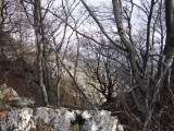 dscf6816