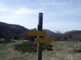 dscf6848