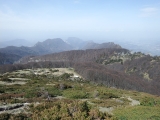 dscf6866
