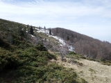 dscf6879