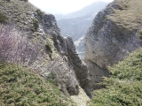 dscf6896