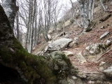 dscf6916