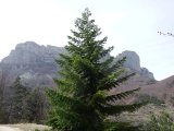 dscf6934